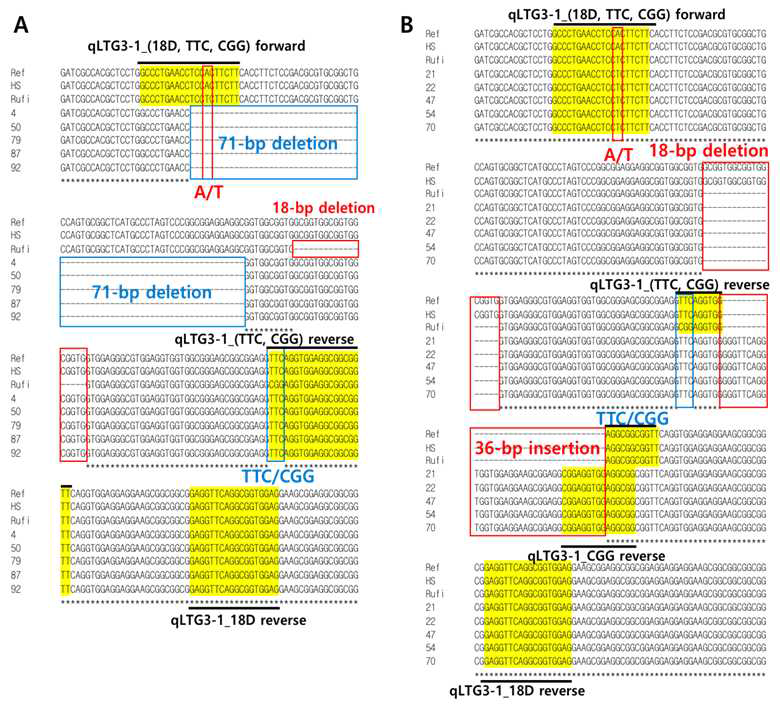 Sequence comparison of Ref (Nipponbare), HS (Hwaseong), Rufi (O. rufipogon) and (A) five rice accessions (RWG4, RWG50, RWG79, RWG87, RWG92) with a 71-bp deletion and (B) five rice accessions (RWG21, RWG22, RWG47, RWG54, RWG70) with a 36-bp insertion. Sequence and location of 3 markers are shown with an A/T SNP, 18-bp and 71-bp deletions, TTC/CGG, and 36-bp insertion variant site