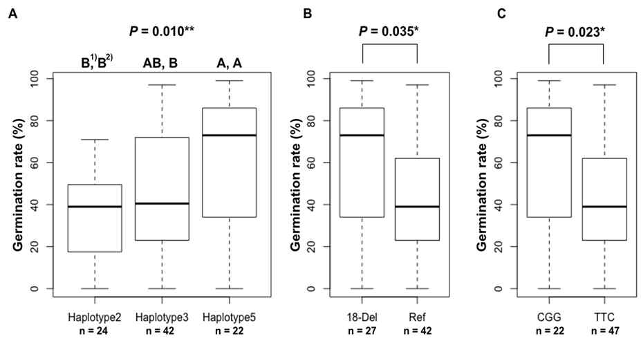 Comparison of germination rate (A) between haplotype 2, 3 and 5, and (B) between accessions with an 18-bp deletion and reference type, and (C) between CGG type and TTC type. * and ** indicate significant difference at the 0.05 and 0.01 probability levels, respectively, using ANOVA and t-test. 1), 2) The same letter is not significantly different among three haplotypes at 0.05 1) and P = 0.10 2) based on Tukey test, respectively