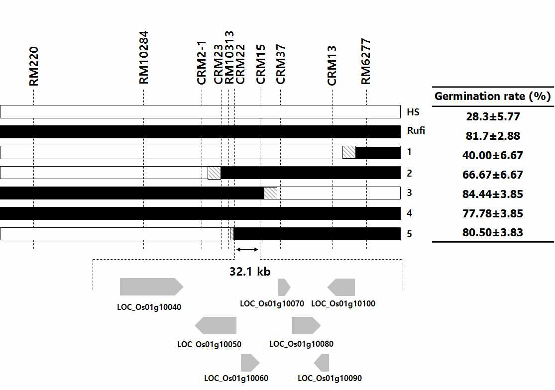 Graphical genotypes of lines used in the substitution mapping of ltg1