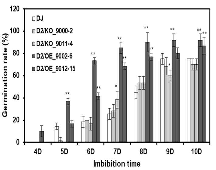 Change of germination rates under low temperature in five rice lines (Dongjin, two D2/KO and two D2/OE lines) Seed germination was evaluated at 13℃ from 4-10 days after incubation. Germination (based on radicles>1 mm) was recorded. Values are means ±SD (three replications)