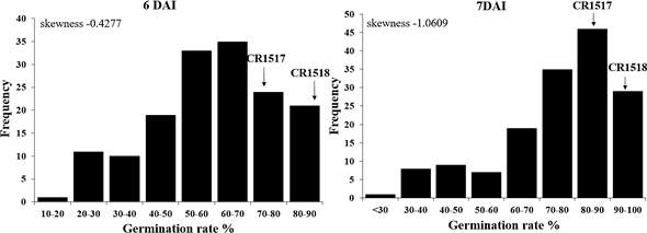 Frequency distribution of germination rate in 154 F2 plants at 6 and 7 DAI at 13℃. Germination rate was measured at 4–8 days after incubation (DAI). Arrows indicate mean germination rate of CR1517 and CR1518 lines