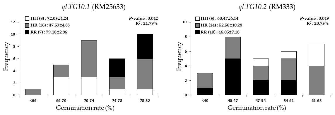 Frequency distribution of LTG at 7 days after incubation in the two F3 population. Plants are segregating at (A) RM25633 for qLTG10.1 and at (B) RM333 for qLTG10.2in the CR8017-4 and the CR8020-6 F3 plants, respectively. The numbers in parenthesis indicate plants number and following data represent mean germination rate ± standard deviation of genotype group. P-value and R2were determined by one-way ANOVA