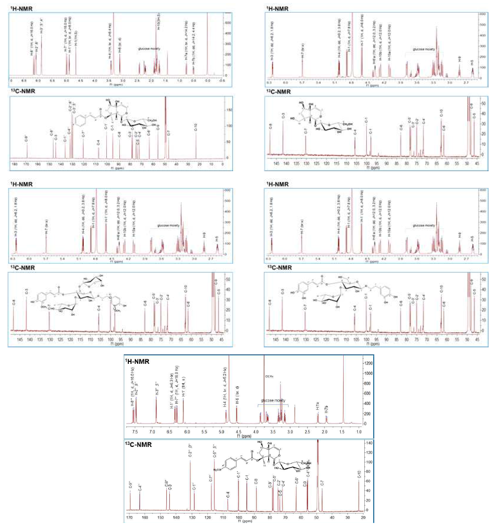 현삼으로부터 구조동정 된 화합물 5종의 NMR data