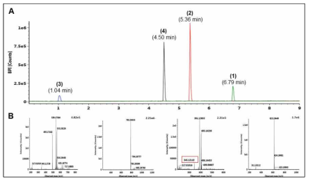 UPLC-ESI-Q-TOF/MS 분석을 통한 화합물의 정확한 질량값 확인