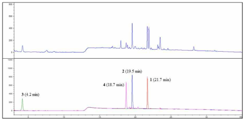 HPLC-UV를 이용한 지표성분의 정량분석 크로마토그램