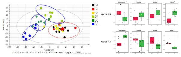 뇌조직 추출물 대사체의 다변량통계분석결과 및 바이오마커분석(*, p<0.05; **, p<0.01)