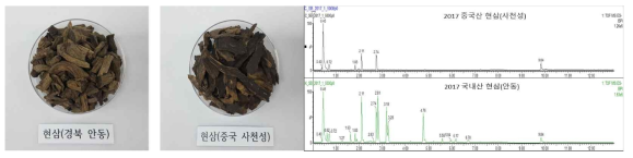 국내산 및 중국산 현삼 추출물의 UPLC-QTOF/MS 크로마토그램 패턴