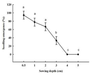 파종깊이에 따른 세열유럽쥐손이(Erodium cicutarium) 종자의 출아율
