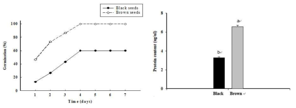 흰명아주 검은색종자와 갈색종자의 발아율과 단백질 함량 비교
