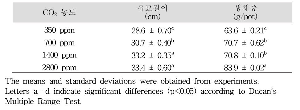 CO2 농도에 따른 돌소리쟁이의 초기 생장반응
