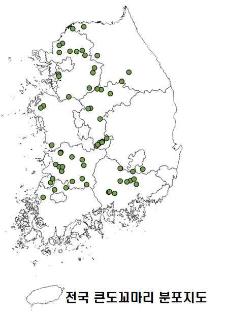 2019년도 조사결과를 바탕으로 한 큰도꼬마리 분포지도