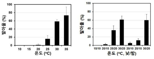 정온조건(좌) 및 변온조건(우)에서 큰도꼬마리의 발아율