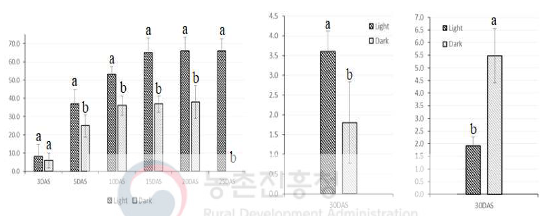 광조건별(광,암) 발아조사에 따른 발아율(%), 엽수(No.), 초장(cm)