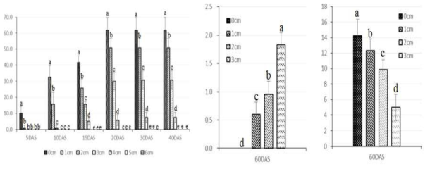 토양심도별(0, 1, 2, 3, 4, 5, 6cm) 발아조사에 따른 발아율(%), 초장(cm), 생체중(g/5plant)