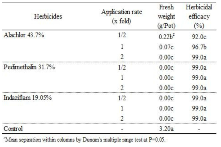 토양처리제초제(Alachlor, Pedimethalin, Indaziflam)의 처리농도별 효과