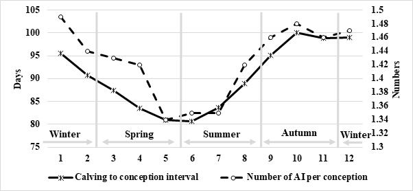Monthly record in calving to conception interval and number of AI per conception of Hanwoo