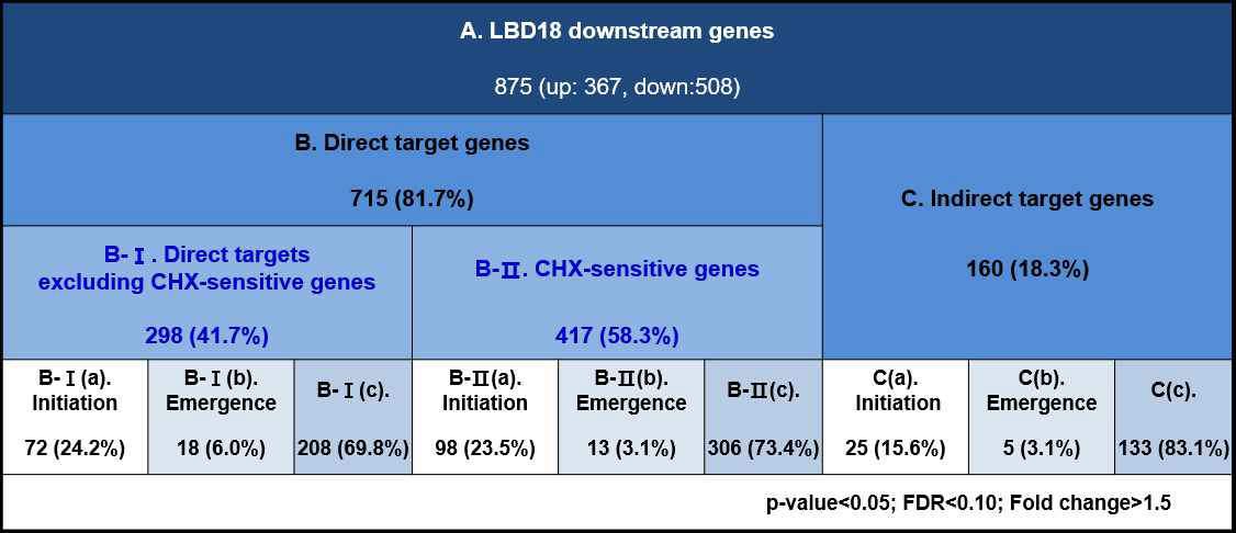 Summary of downstream genes regulated by LBD18 in Arabidopsis roots. Initiation indicates number of genes involved in lateral root initiation. Emergence indicates number of genes involved in lateral root emergence
