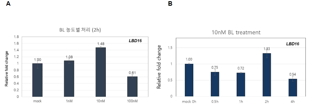 Expression analysis of LBD16 in Col-0 plant of various BL concentration(A) and various treatment time(B). Plant were grown vertically for 7 days, seedlings were treated by various BL concentrations and various time, total RNA were isolated from root sample, and each RNA sample was subjected to RT-qPCR analysis