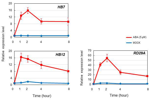 Time-course expression of HB7 and HB12 genes in response to ABA. Seven-day-old wild type seedlings were incubated with 5 uM ABA, and total RNA was isolated from root sample. Each RNA sample was subjected to RT-qPCR analysis. RD29A was used as a marker gene for ABA response. Bars indicate ±SE of three biological replicates