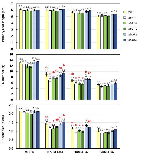 Analysis of LR densities of wild-type and hb mutants in the presence or absence of ABA. Arabidopsis plants were grown on 1/2MS vertical plate for 3 days, then transferred to 1/2MS agar plate containing DMSO or different concentrations of ABA. LR densities were calculated by the numbers of LR divided by primary root length (#/cm). Mean ± SE values were determined at three biological replicates