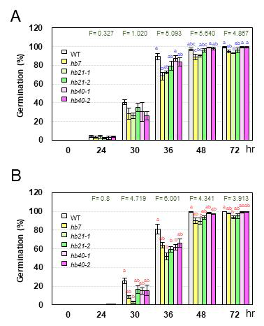 Seed dormancy analysis of the wild-type and hb7, hb21, and hb40 single mutants. Germination efficiency were examined in wild-type and hb single mutants with stratification for 4 days (A) and 0 days (B). Error bars indicate ±SE of three biological replicates