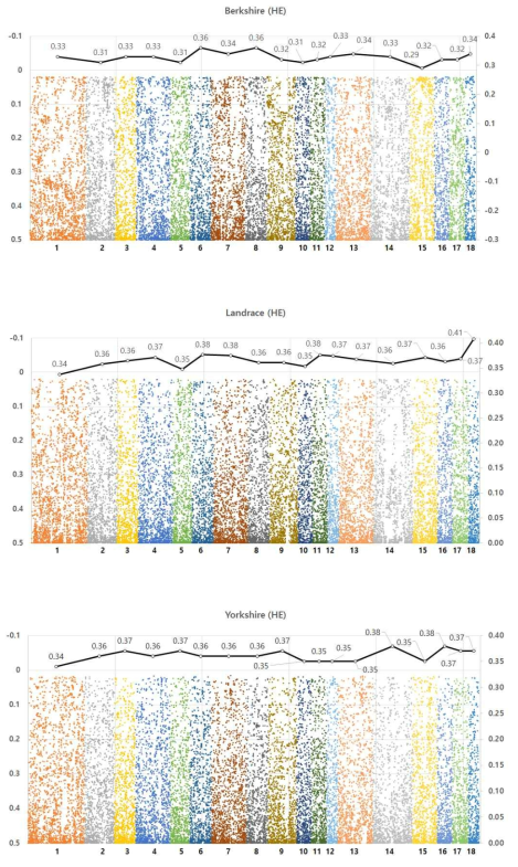 Plots of SNPs and average heterozygosity (H ) by chromosomeE in Berkshire, Landrace and Yorkshire (from top to bottom)