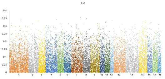 Plots of SNPs’ F values among Berkshire, Landrace and Yorkshirest by chromosome