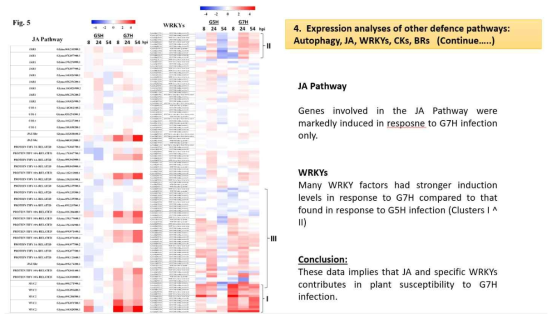Expression analyses of defence pathways for Autophagy, JA, WRKYs, CKs, and BRs