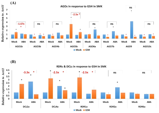 콩 품종 소명콩(Rsv3 null; SMK)에 ABA 처리 및 SMV strain G7H의 감염이 RNA silencing 관련 유전자들의 발현 변화에 미치는 영향