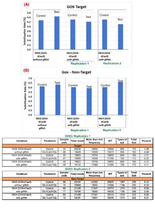 GOX-dCas9을 이용한 ROS mutation 시스템을 통해 일어난 genome eiditing