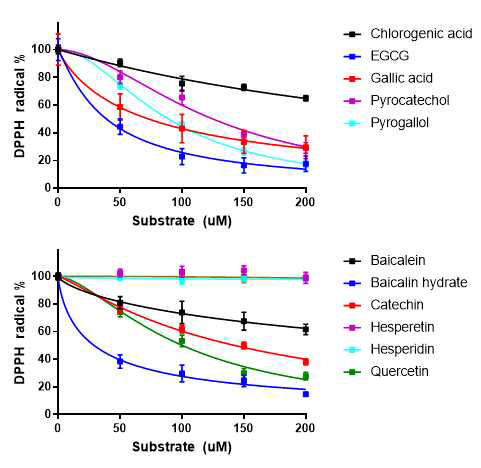 폴리페놀/탄닌 유도체의 DPPH 라디칼 소거활성능력 측정 결과