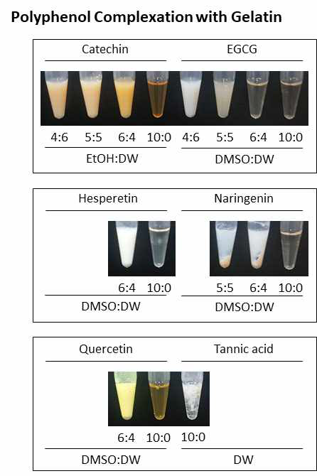 탄닌과 젤라틴의 거대복합체 형성 실험 결과