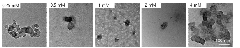 탄닌산과 항체 복합조성으로 제조된 나노입자의 투과 전자 현미경 사진
