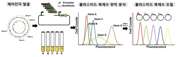 무항생제 기반 인공 플라스미드 개발 전략