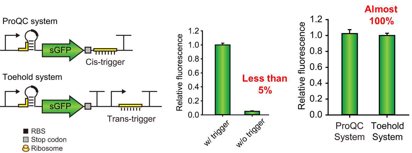 전사-번역 비동조 카세트 제어효율 (가운데) 및 발현효율 (우) (ProQC system; 전사-번역 비동조, Toehold system; 전사-번역 동조)