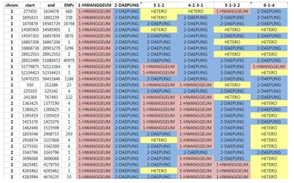 SNP 기반의 297블록으로 구성된 분자육종플랫폼 예시