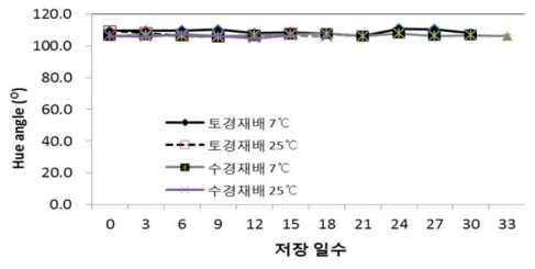 멜론의 재배방법과 저장온도에 따른 hue angle