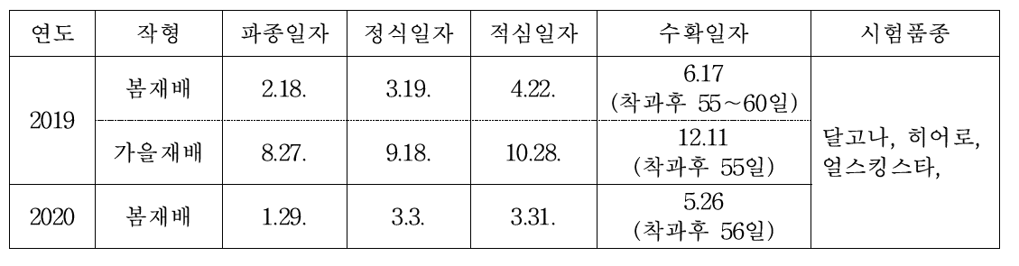 재배기간 및 시험품종