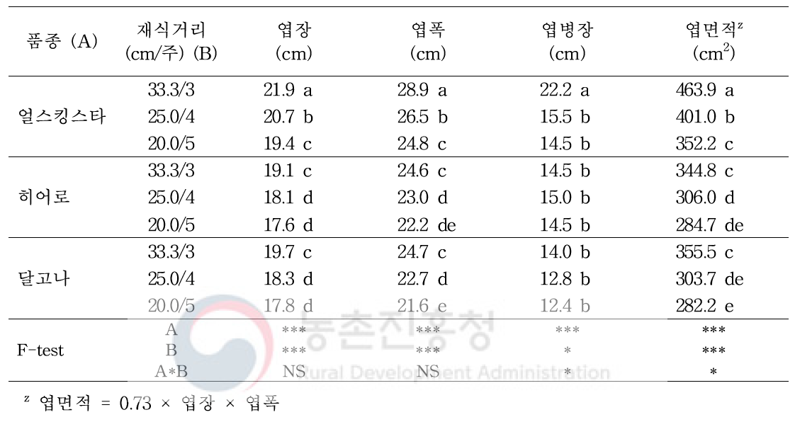 멜론 3품종의 재식거리에 따른 식물체 특성(2)