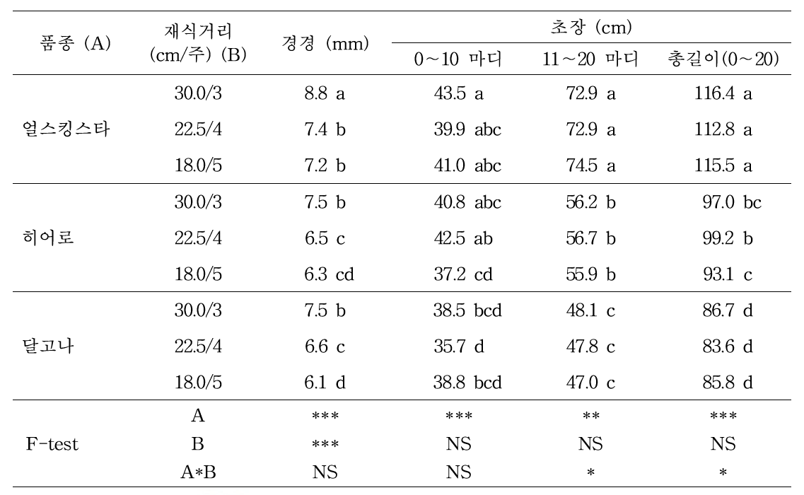 멜론 3품종의 재식거리에 따른 식물체 특성(1)