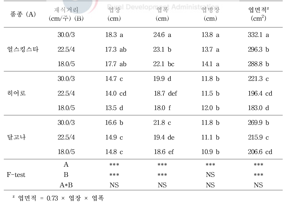 멜론 3품종의 재식거리에 따른 식물체 특성(2)