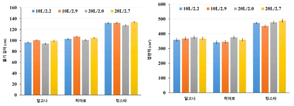 배지 용량에 따른 재식밀도별 멜론 3품종의 마디길이 및 엽면적(2020)