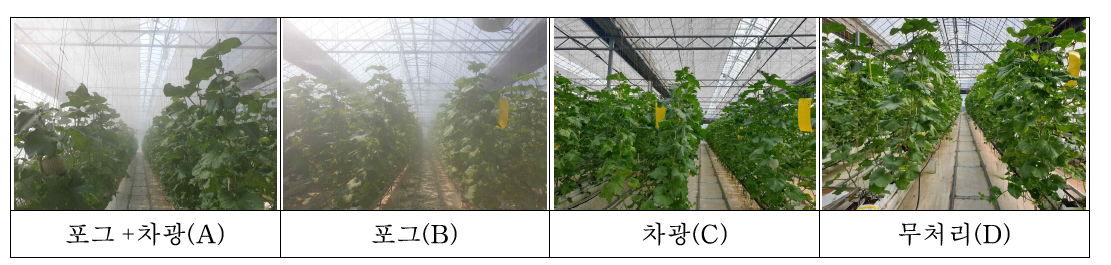 온도저감을 위한 냉방처리 모습(2019)