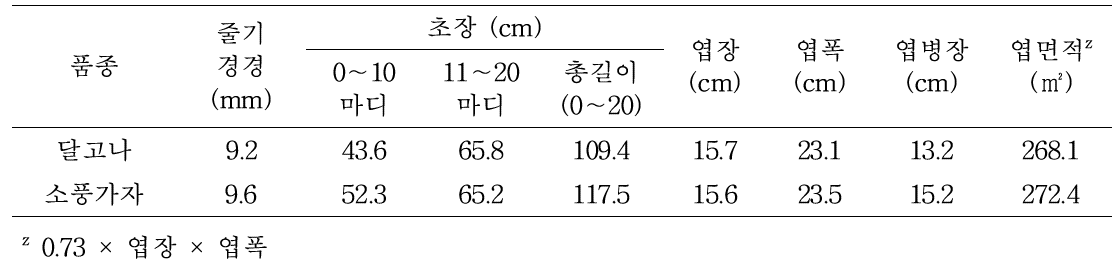 여름 포그 냉방 실증재배 시 멜론 생육