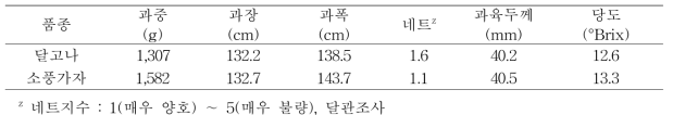 여름 포그 냉방 실증재배 시 멜론 과실 생육