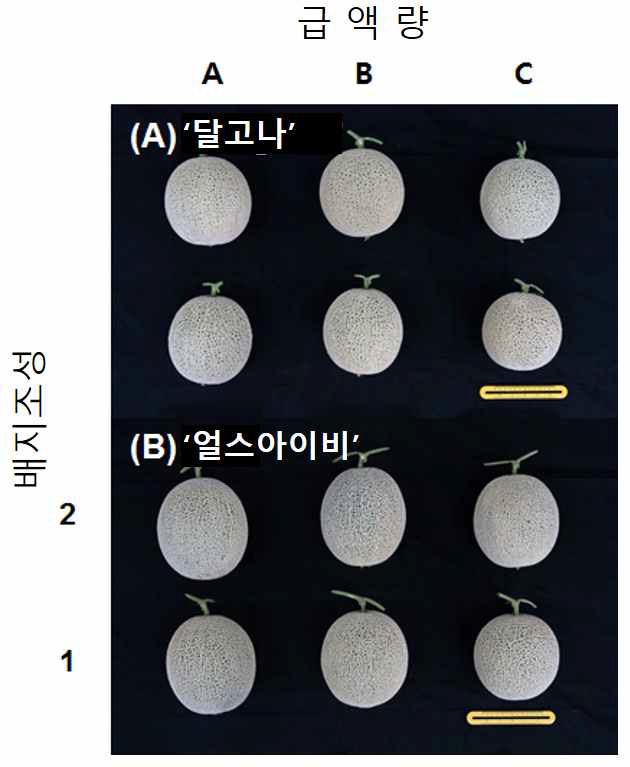 급액량 및 배지조성에 따른 품종별 과실 생육 특성