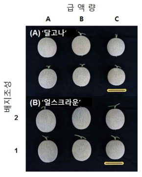 급액량 및 배지조성에 따른 품종별 과실 생육 특성