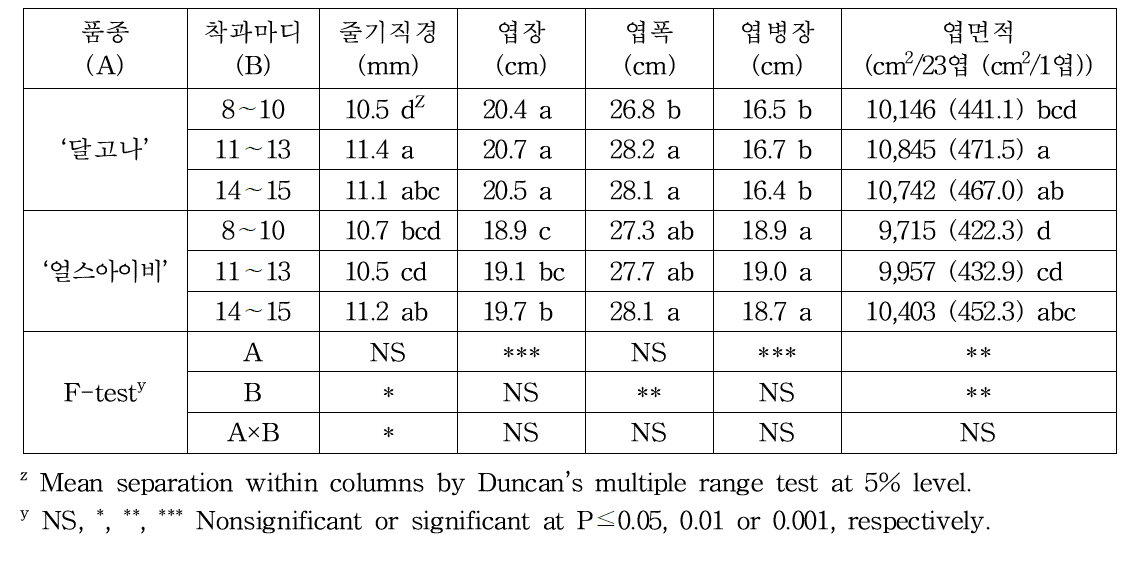 착과마디에 따른 품종별 생육 특성