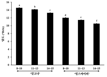 착과마디에 따른 품종별 과실 당도