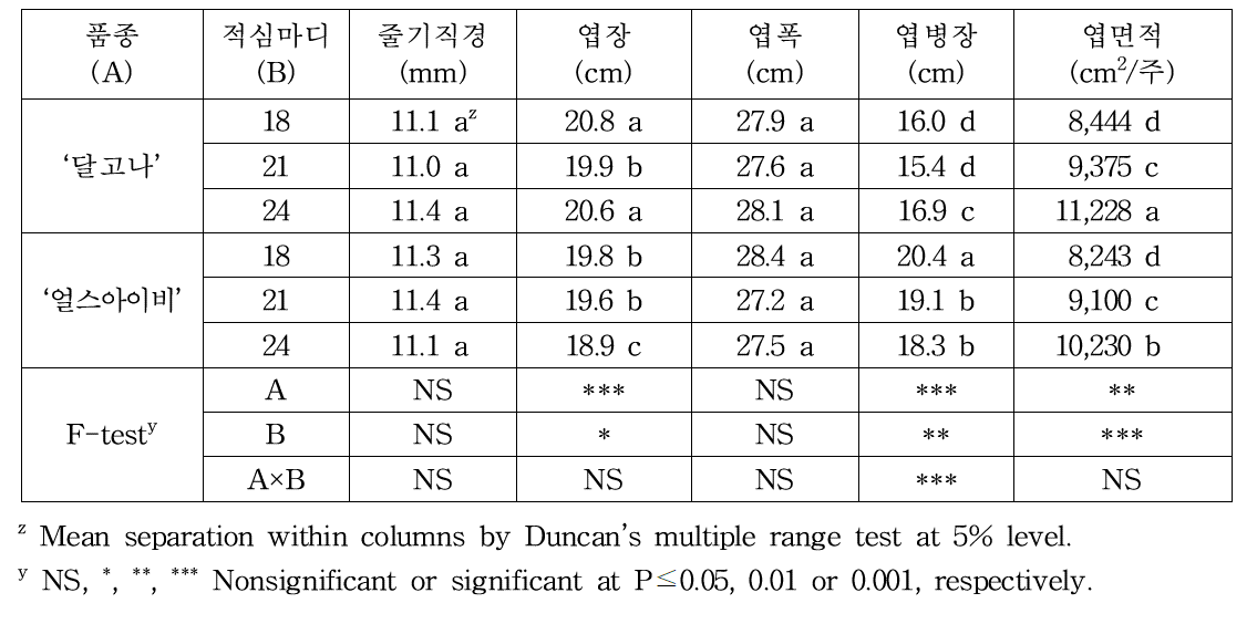 적심마디에 따른 품종별 생육 특성